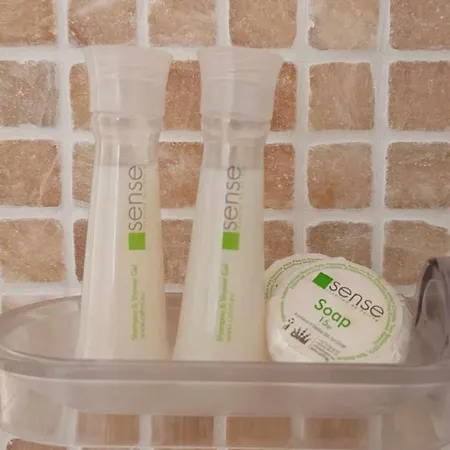 شقة Les Presidents Proche, Wifi Et Balcon لي سابلِ دولونْ